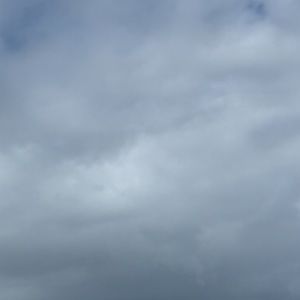 Meet your Posher, Juliette